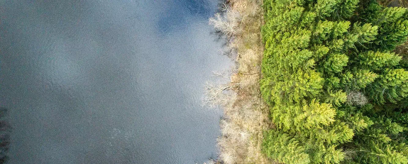 aerial shot forest covered evergreens bare trees surrounded by lake