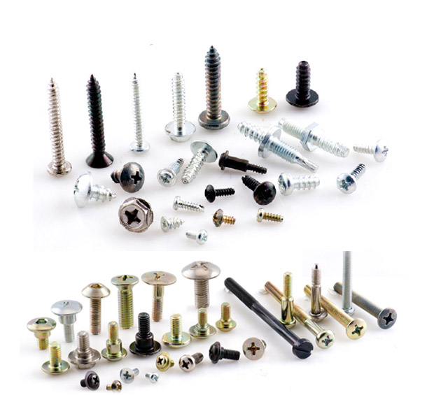 Micro screw manufacturer in India